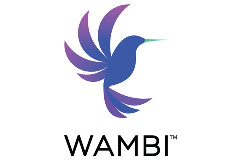 Wambi